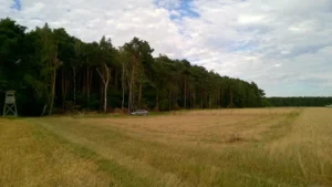 dom parterowy z dachem dwuspadowym 120 m2 Poznań 1