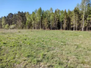 dom z użytkowym poddaszem, dachem dwuspadowym i garażem 200 m2 Trójmiasto 1