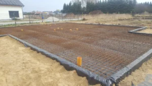 dom szkieletowy parterowy z dachem dwuspadowym i garażem 170 m2 Poznań 9