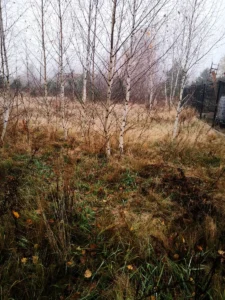 dom parterowy z dachem kopertowym 110 m2 Warszawa