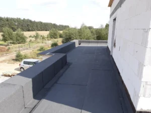 dom piętrowy z dachem płaskim i garażem 230 m2 Poznań