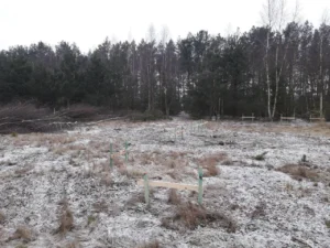 dom piętrowy z dachem płaskim i garażem 230 m2 Poznań